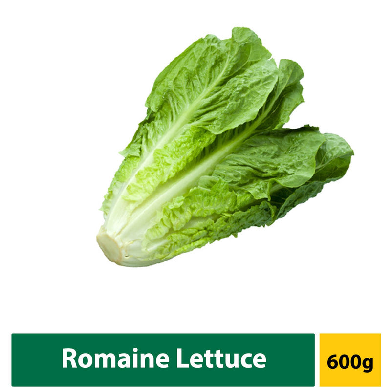 Lettuce Romaine 600g - LimSiangHuat