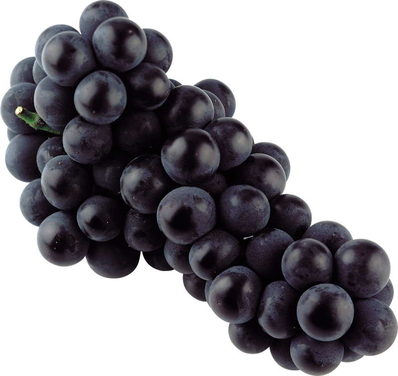 Black Seedless Grape