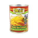Honey Sea Coconut Mili (12x565g) - LimSiangHuat