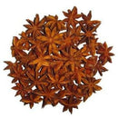 Star Anise Seed - LSH 1kgpkt - LimSiangHuat